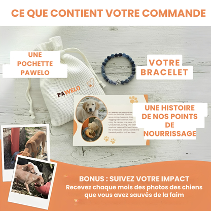 PAWELO™ – Le bracelet qui nourrit 10 chiens abandonnés à chaque achat – Montrez votre impact en 30 secondes par jour