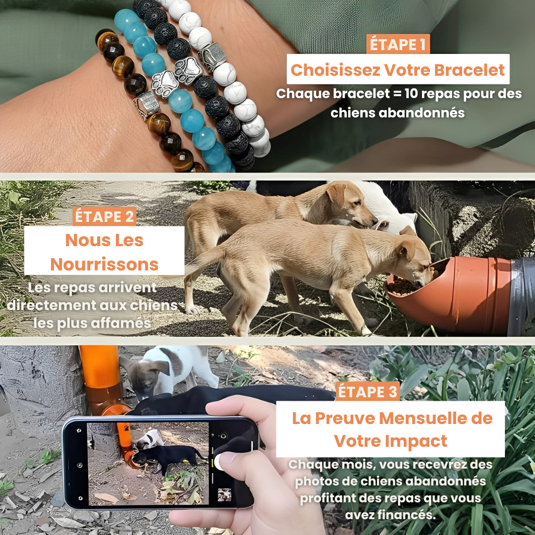 PAWELO™ – Le bracelet qui nourrit 10 chiens abandonnés à chaque achat – Montrez votre impact en 30 secondes par jour
