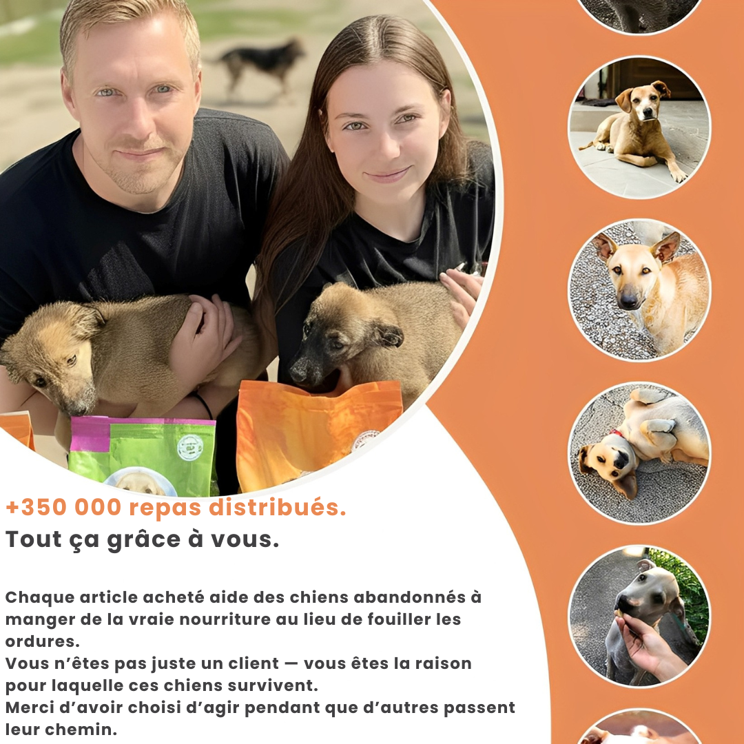 PAWELO™ – Le bracelet qui nourrit 10 chiens abandonnés à chaque achat – Montrez votre impact en 30 secondes par jour